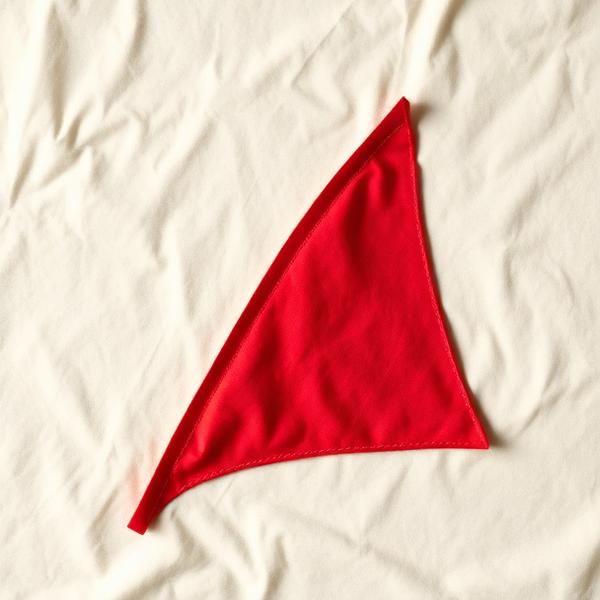 Felt pennant